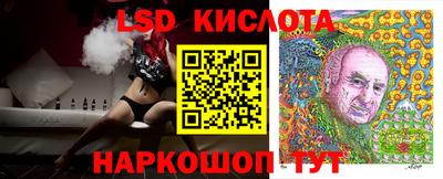 индика Жуковский