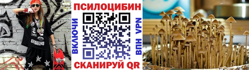 Псилоцибиновые грибы Cubensis  Мыски 