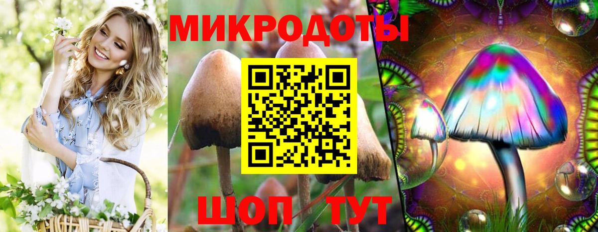 Мыски  где купить наркоту  Вход с VPN  Галлюциногенные грибы мухоморы  Псилоцибиновые грибы Cubensis 